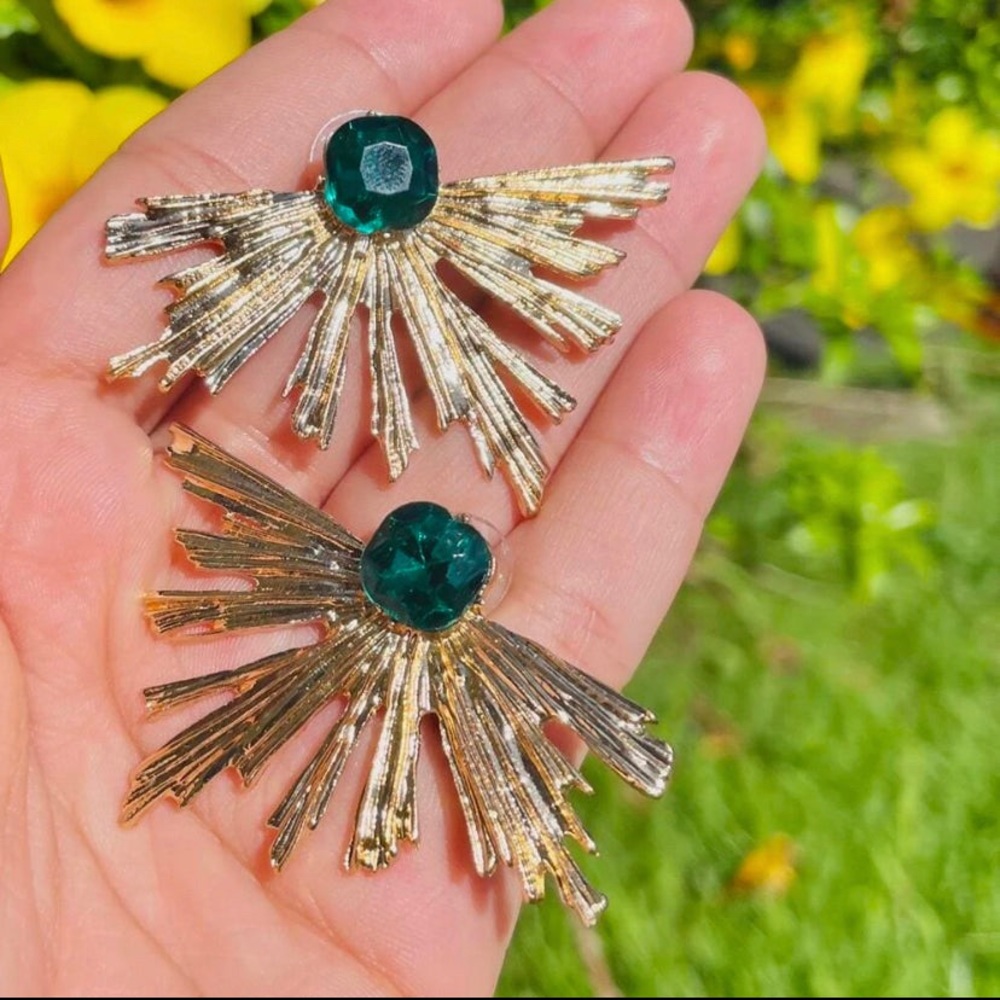 Earrings (never worn)